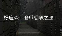 杨应森：磨爪砺喙之鹰——武警某部直升机支队一大队小记